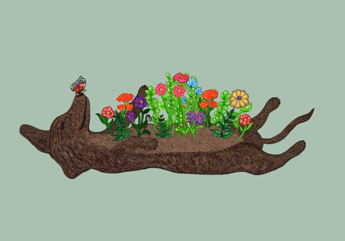 dacshund flowers bloom ween butterfly